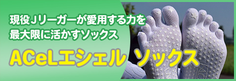 ACeLエシェル ソックス